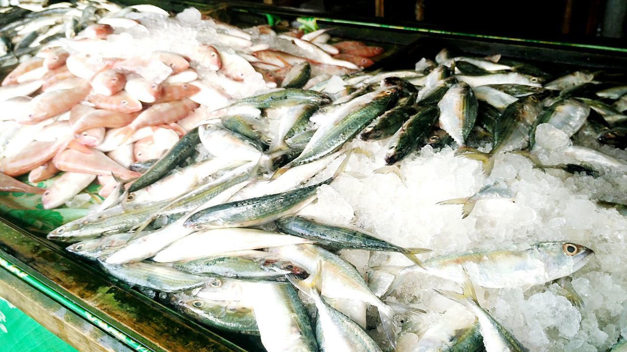 CLOSE-UP OF FISH FOR SALE IN MARKET