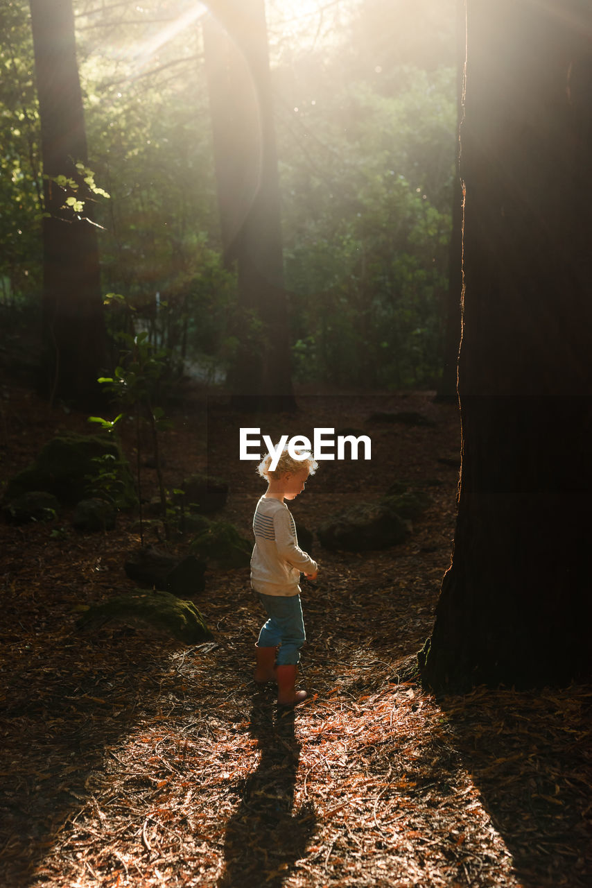 Little child walking in forest with beautiful light