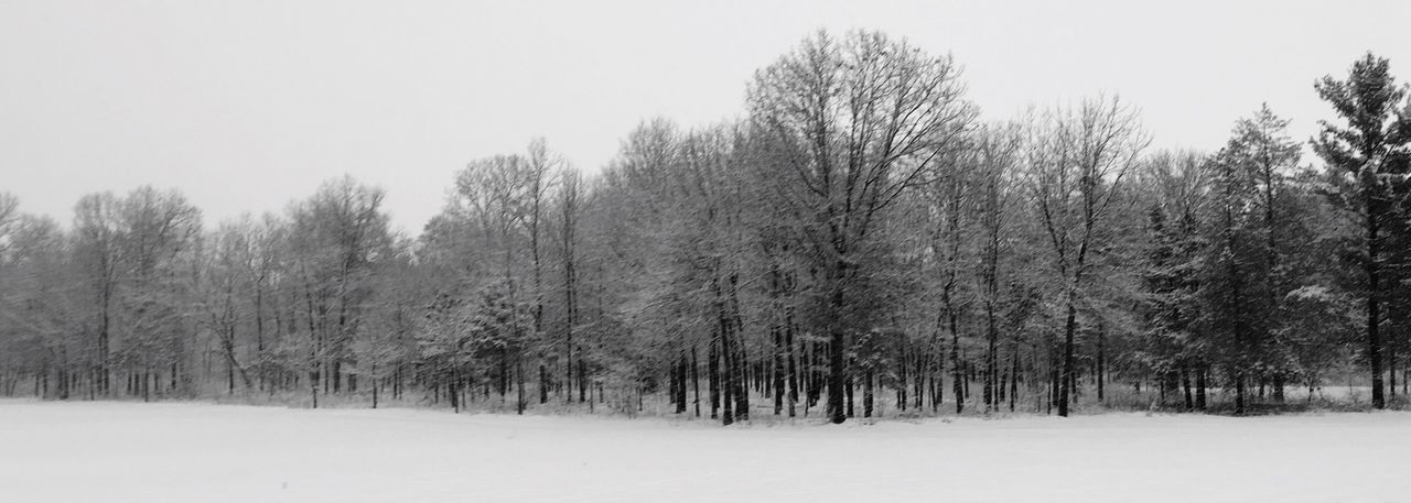 Trees on snow covered field against sky