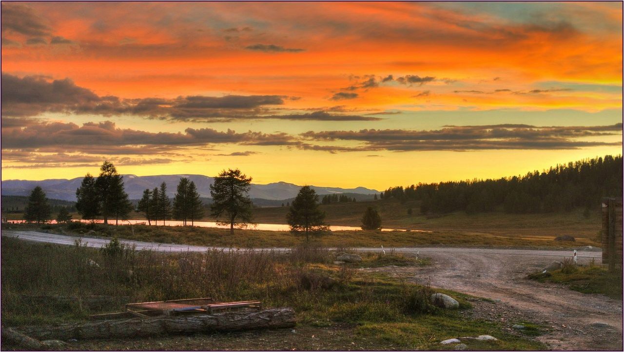 Sunset sky over forest