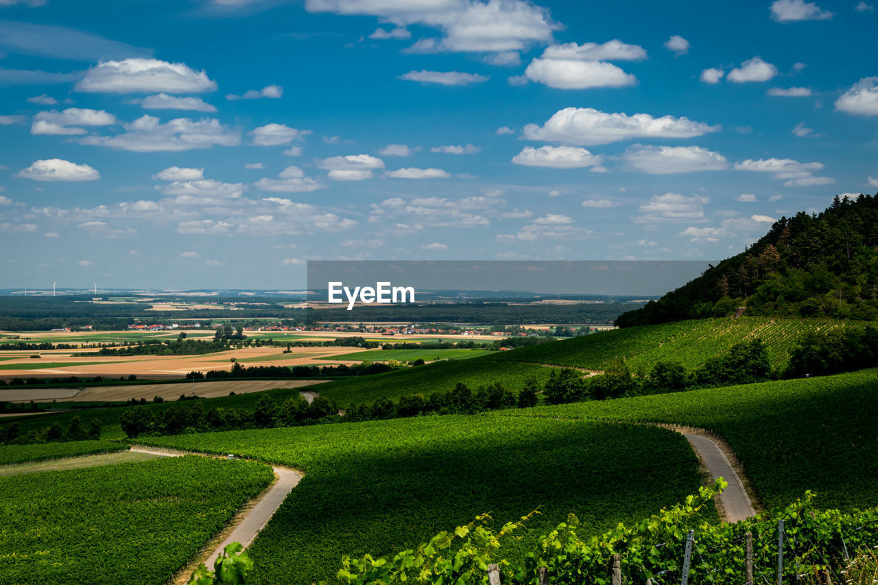 Scenic view of agricultural field against sky