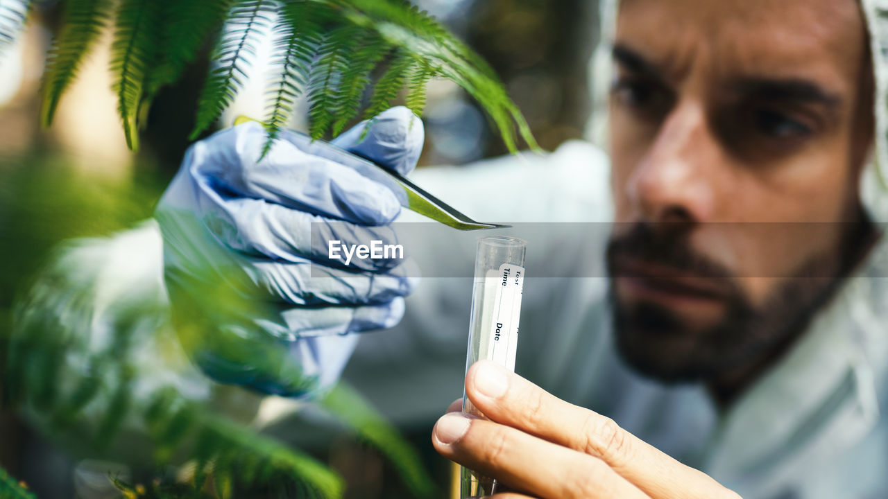 Botanist takes a plant sample for analysis in the mountains