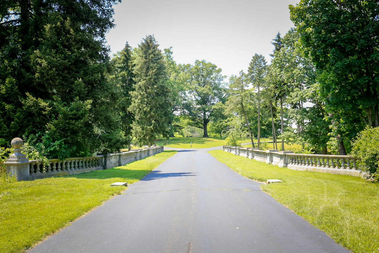 EMPTY ROAD AMIDST TREES AGAINST CLEAR SKY