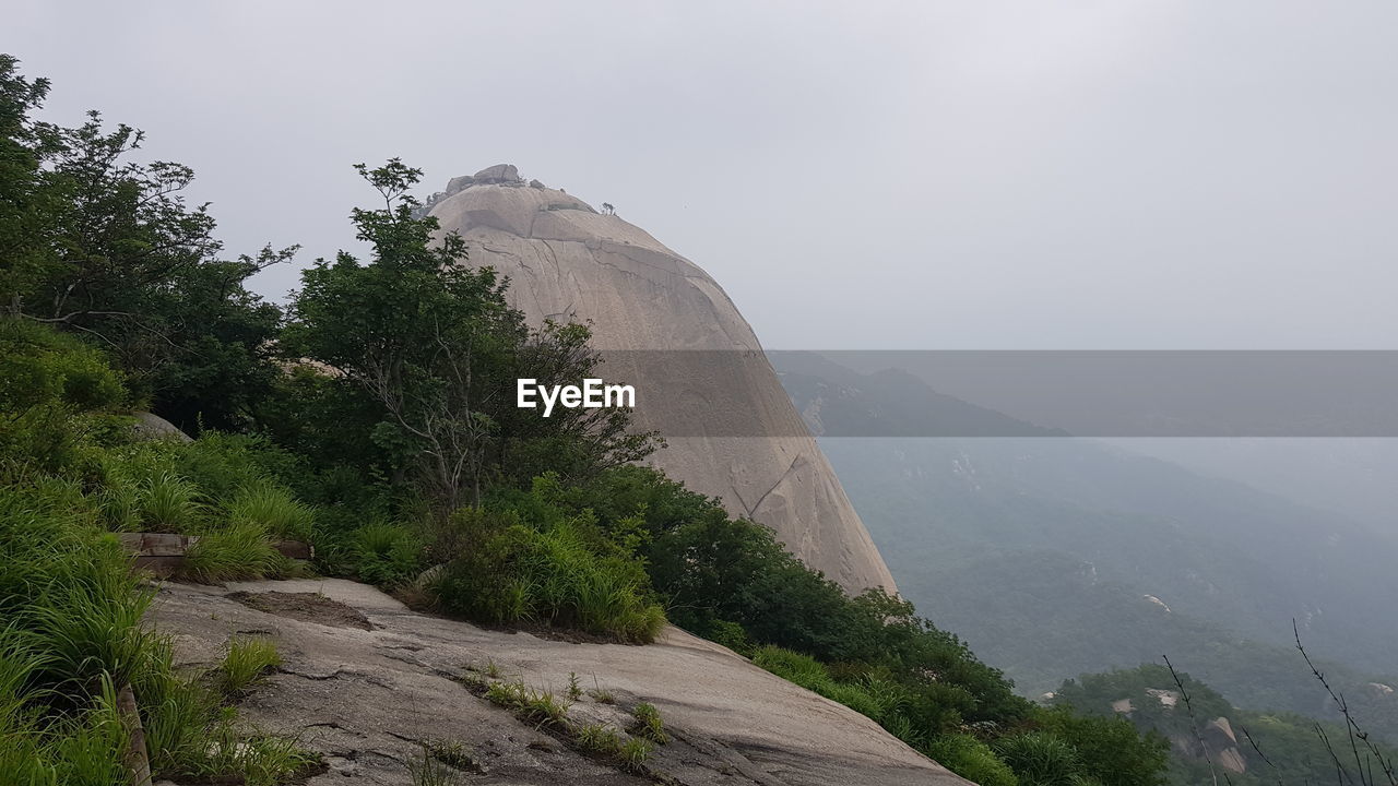 TREES ON MOUNTAIN AGAINST SKY