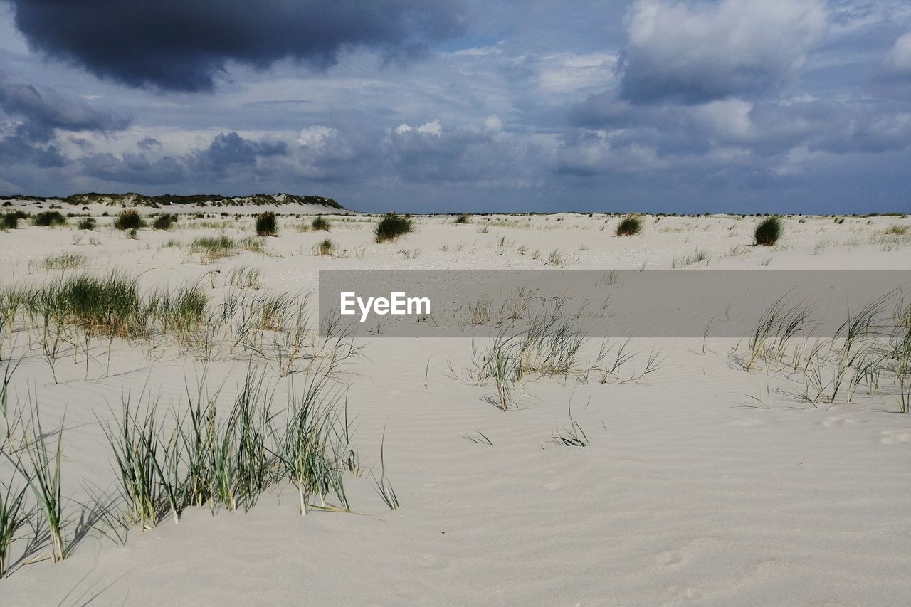 SCENIC VIEW OF SAND DUNE AGAINST SKY