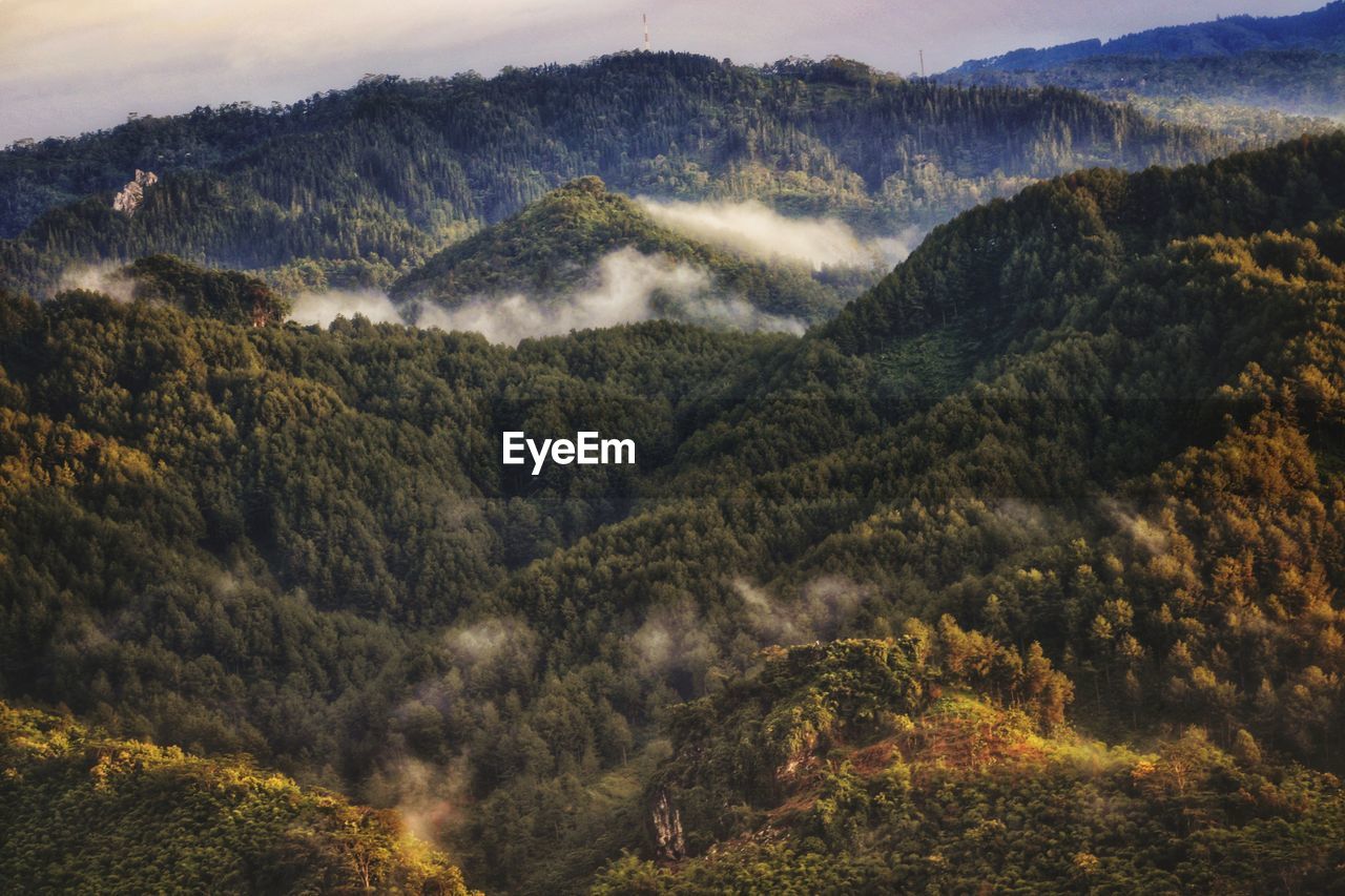 High angle view of trees and mountains against sky