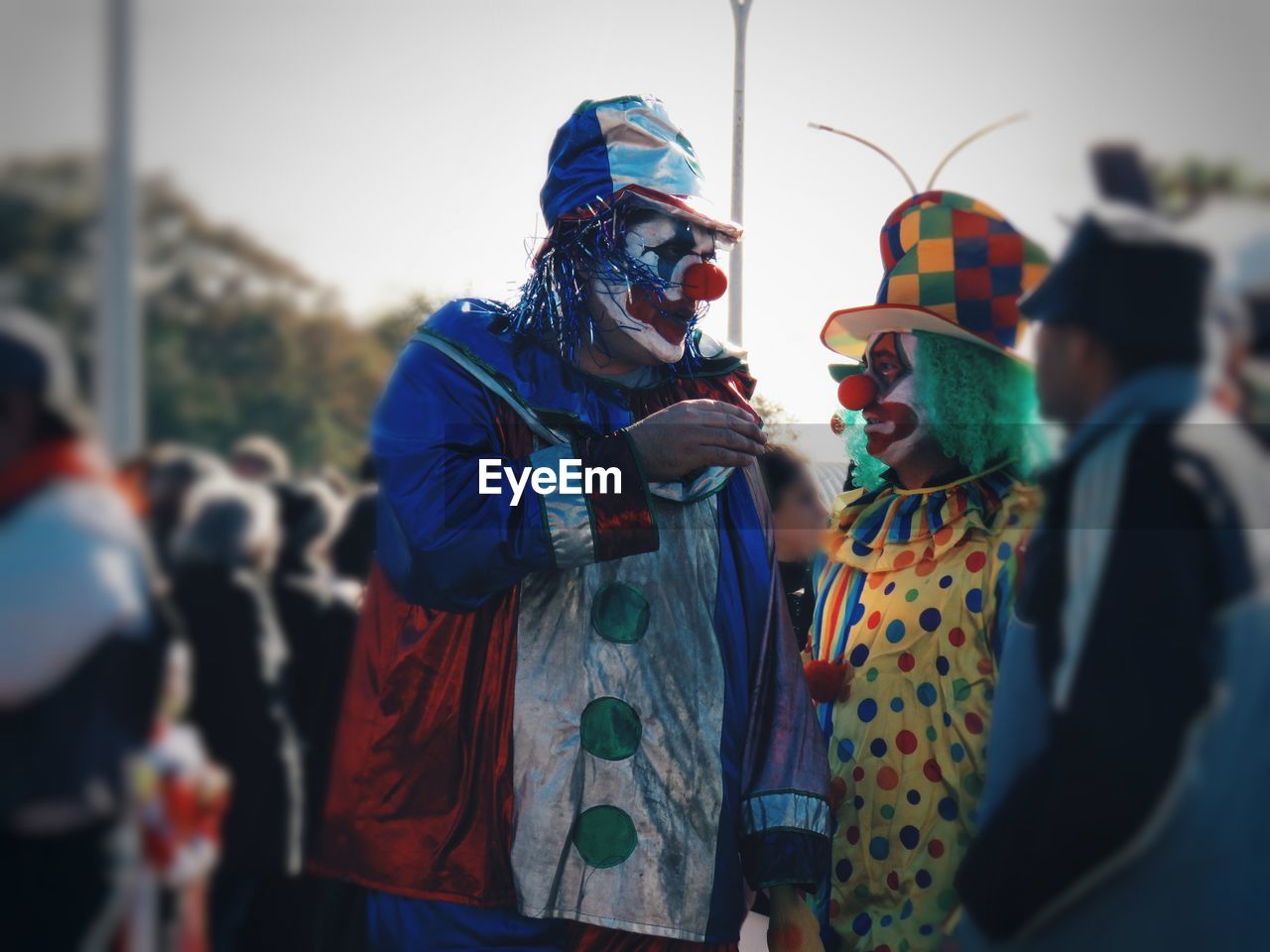 People wearing costumes during carnival