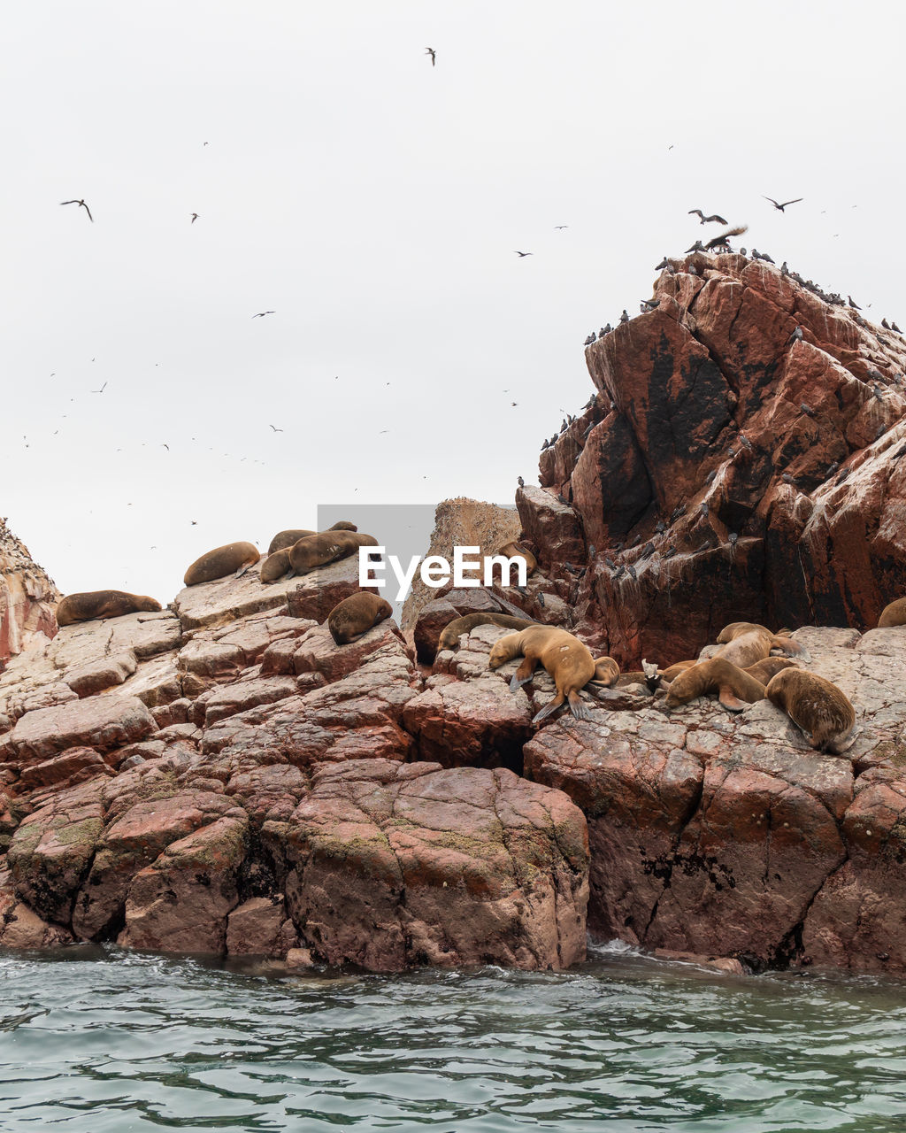 Rocks in sea against clear sky