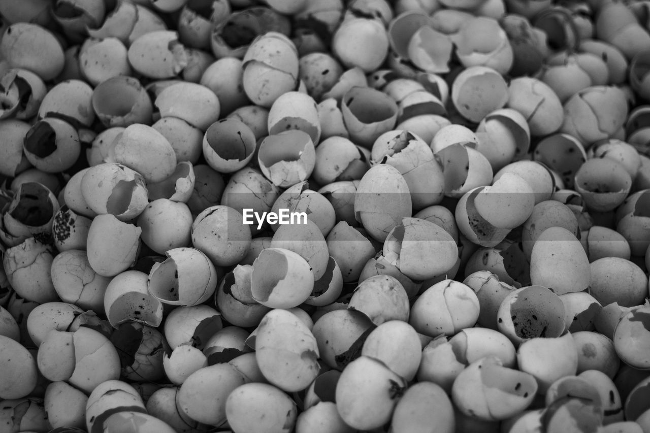 Full frame shot of broken eggshells