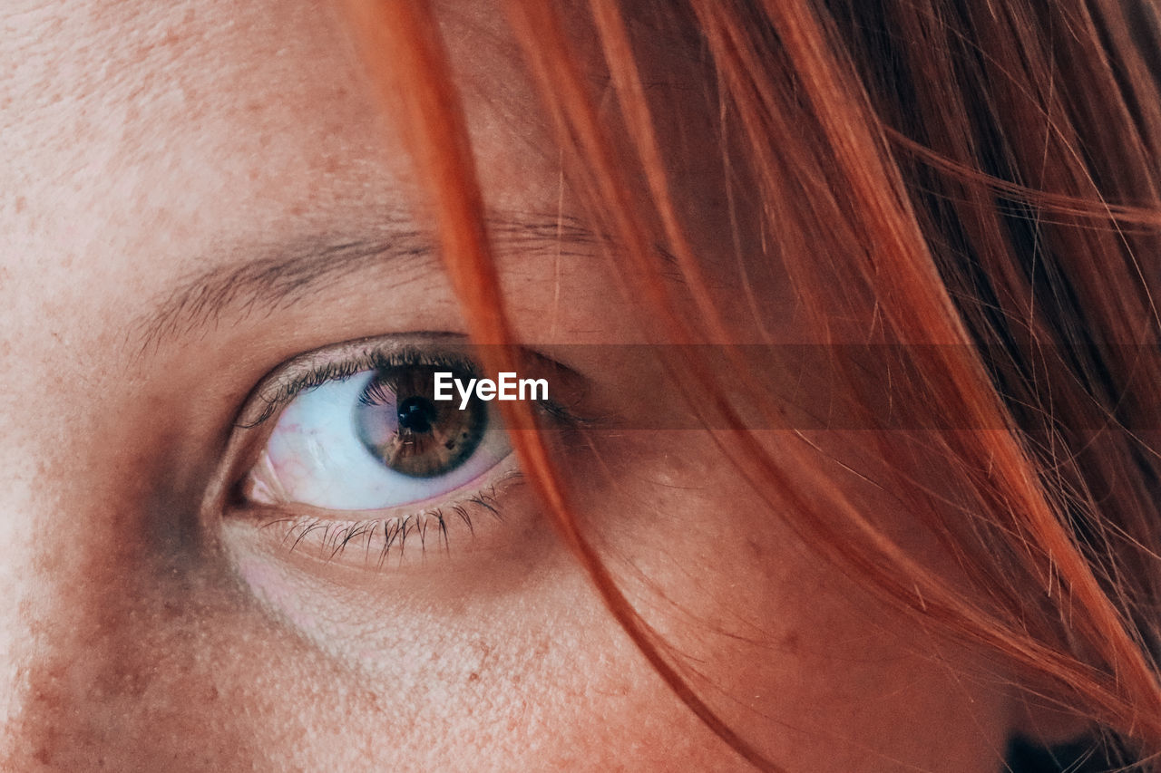 Close-up portrait of woman eye