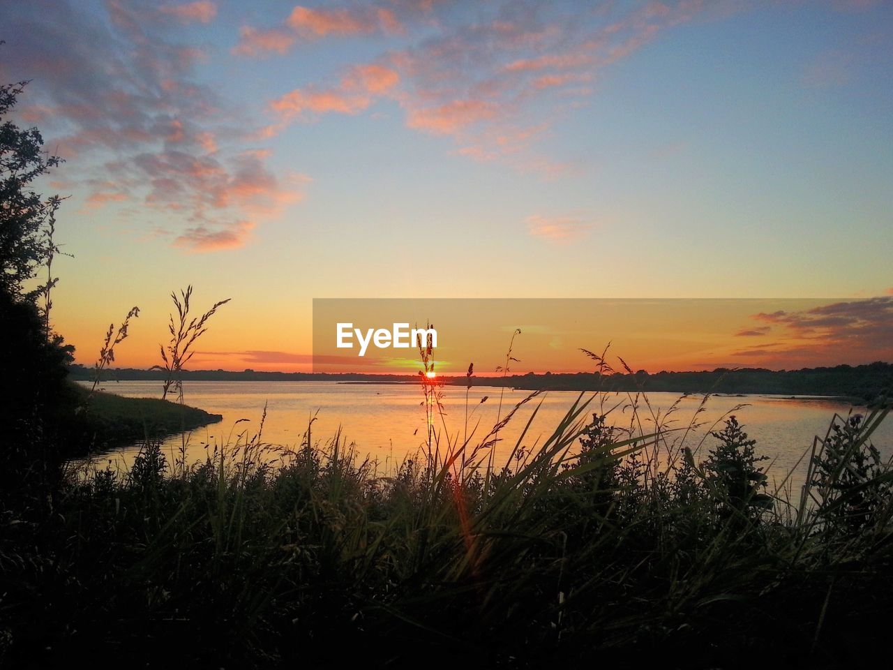 Grass by lake against sky during sunset