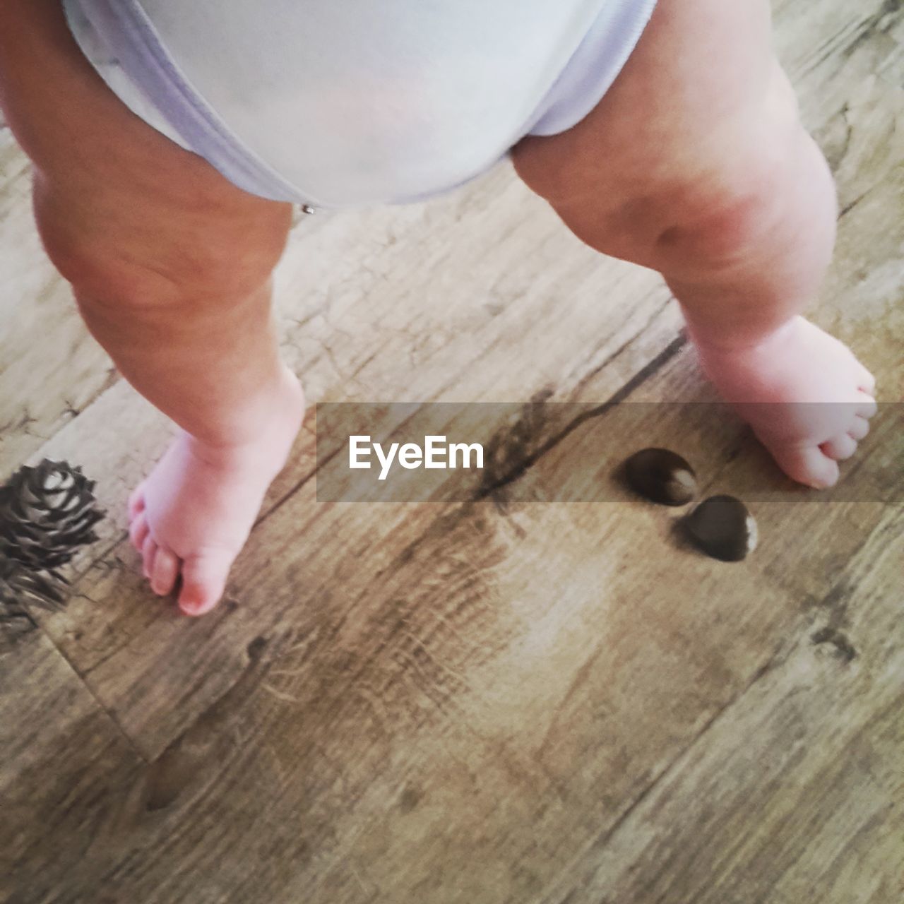 Low section of baby standing on hardwood floor