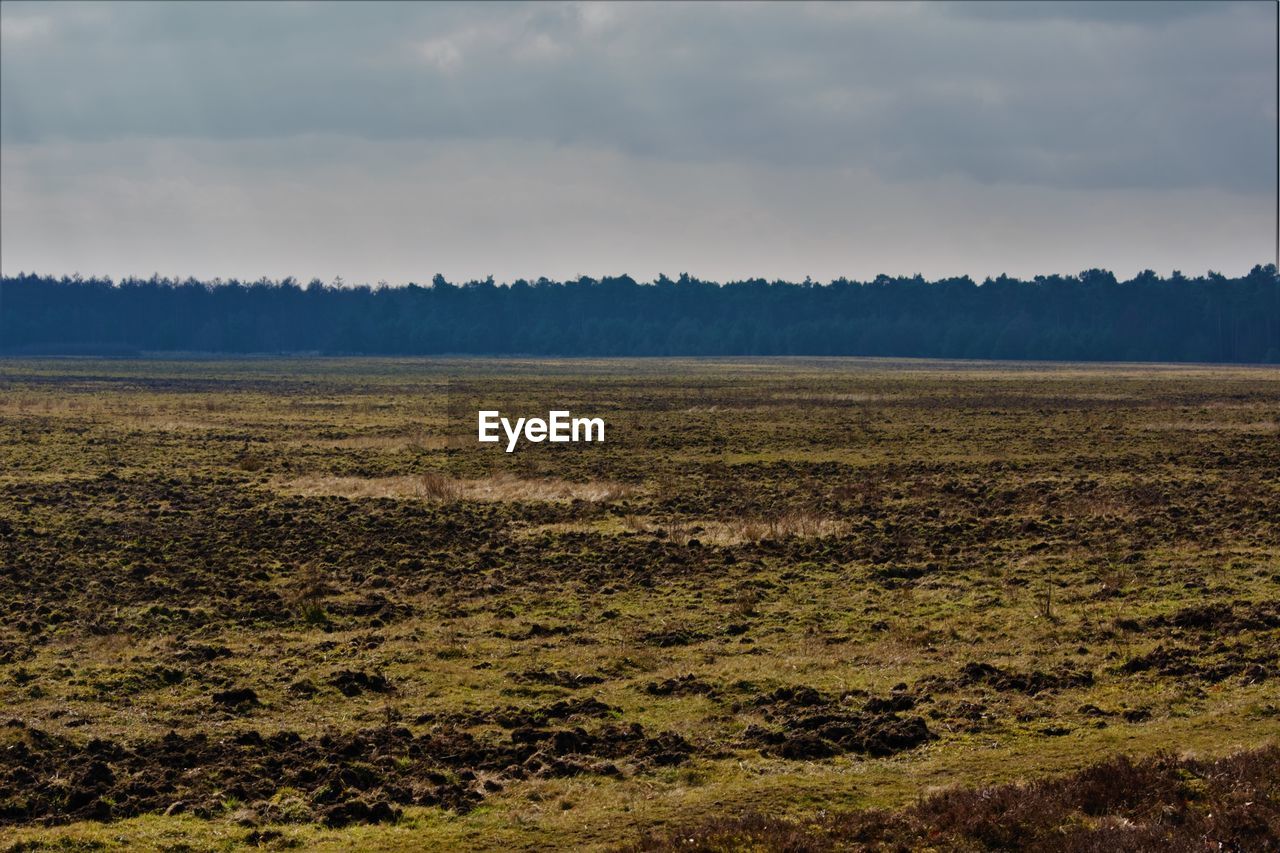 Scenic view of grassy field against cloudy sky