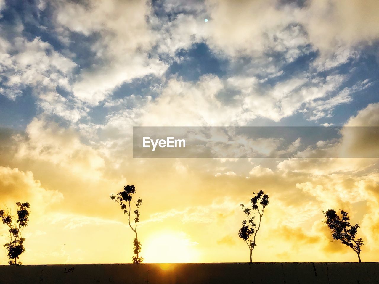 Low angle view of silhouette trees against sky during sunset