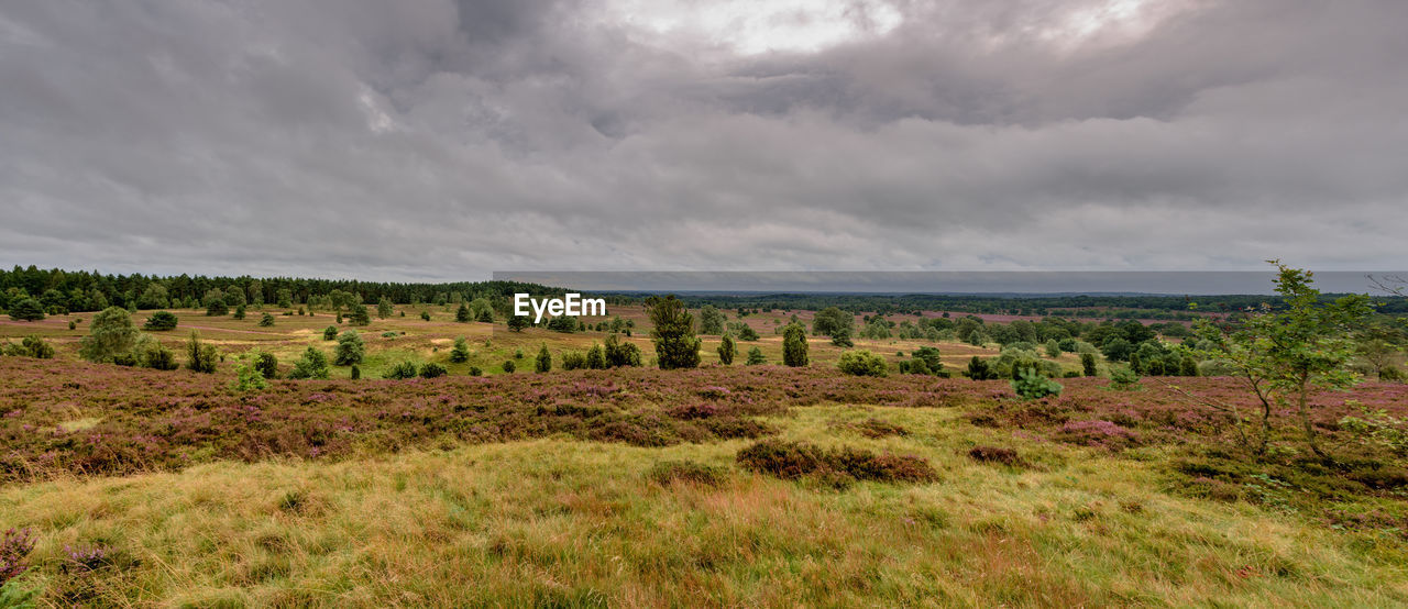 LANDSCAPE AGAINST SKY