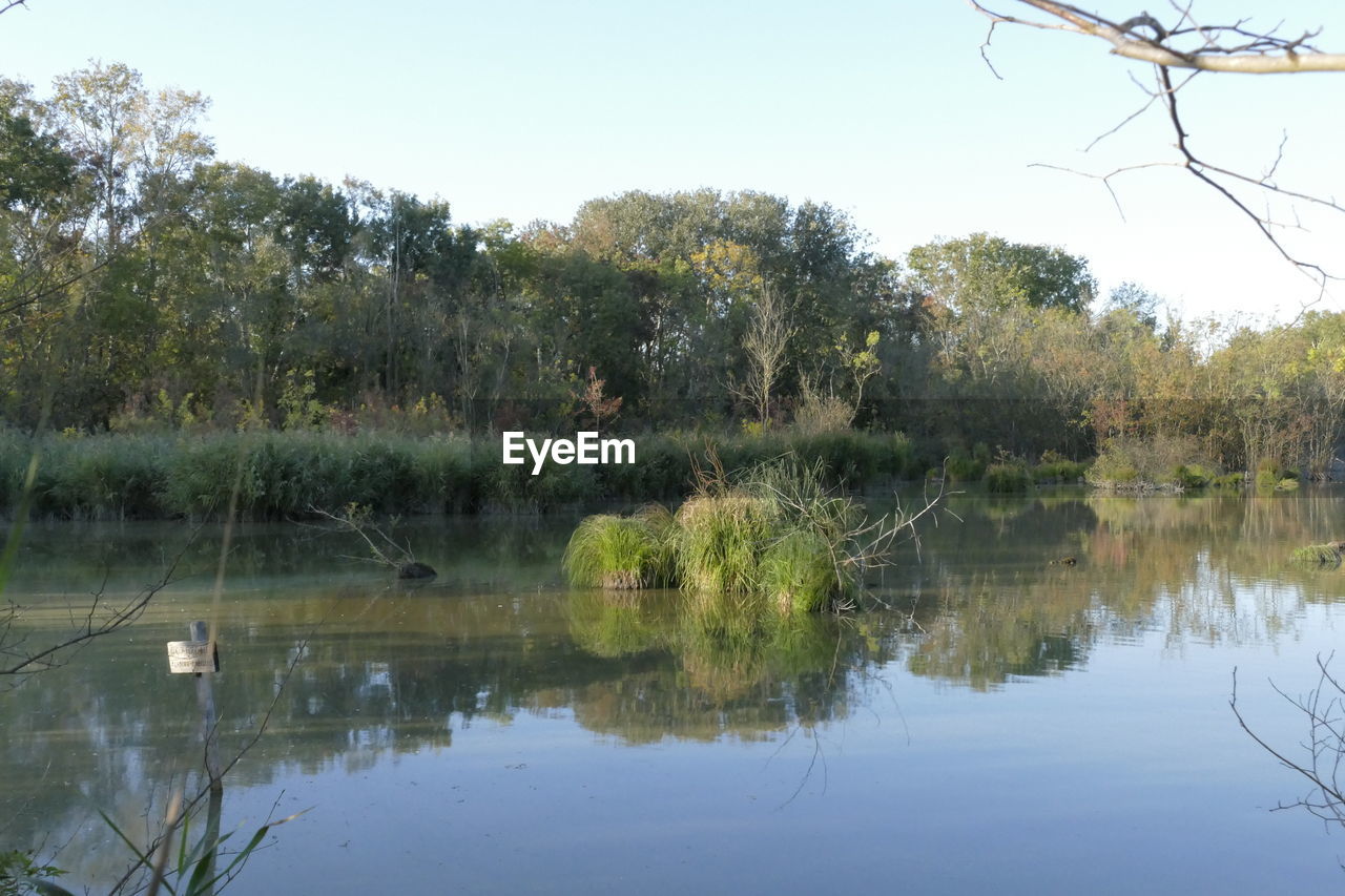 SCENIC VIEW OF LAKE BY TREES AGAINST SKY