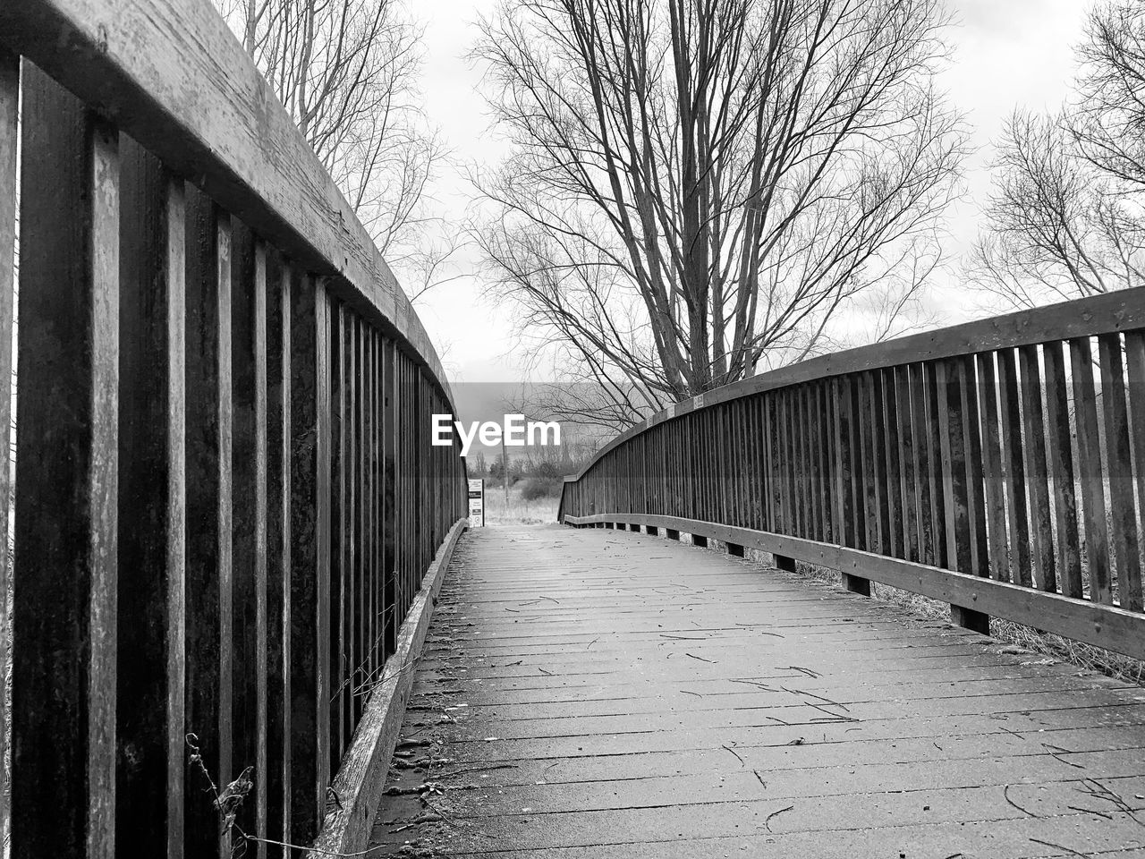 black and white, architecture, built structure, bare tree, tree, monochrome, monochrome photography, bridge, the way forward, no people, nature, day, sky, plant, transport, diminishing perspective, building exterior, footpath, transportation, railing, outdoors, city