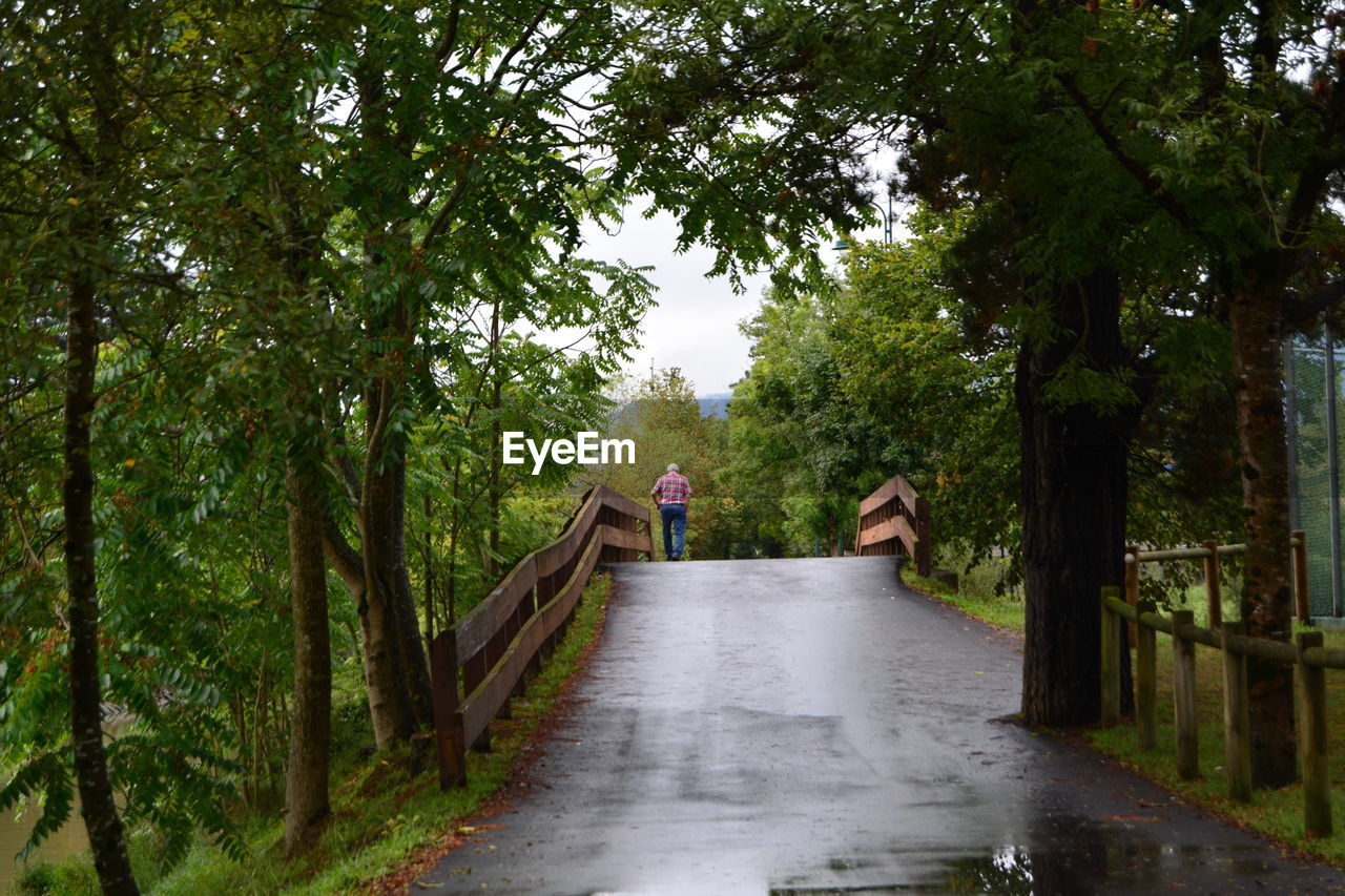 PEOPLE WALKING IN FOREST