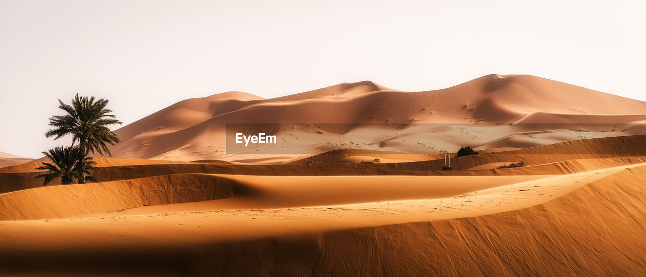 Sand dunes in desert against clear sky