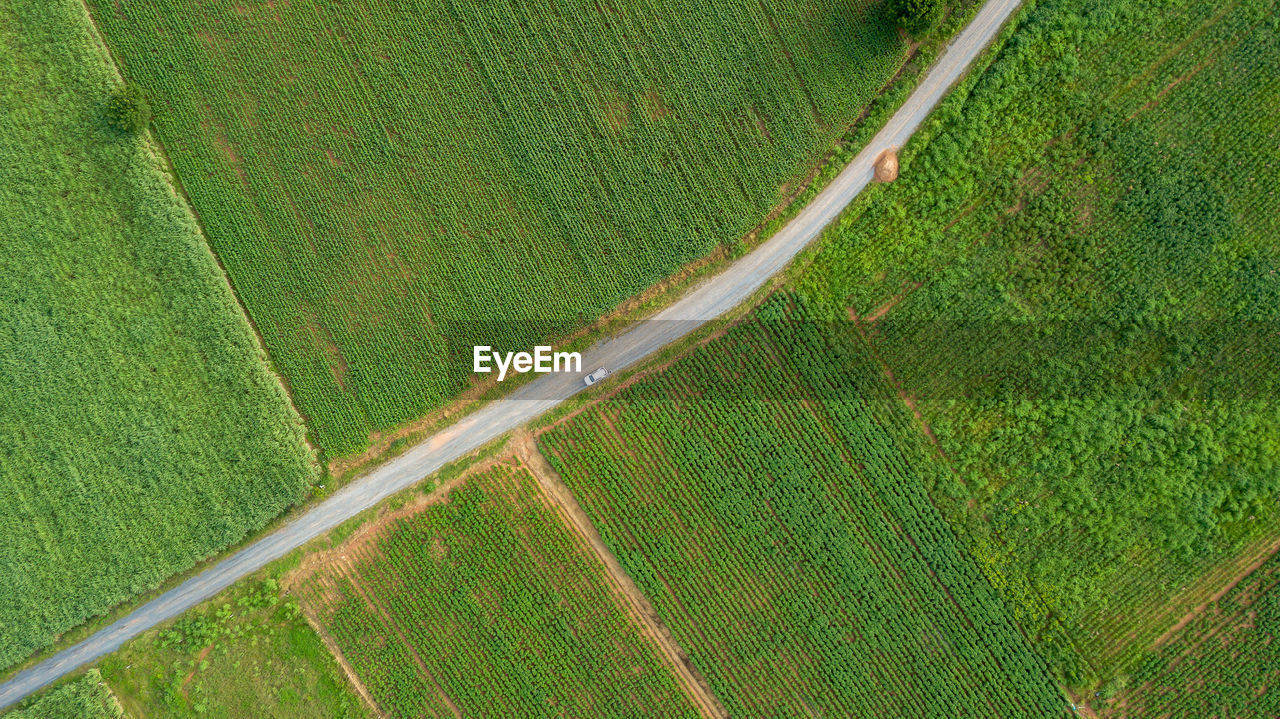 High angle view of agricultural field