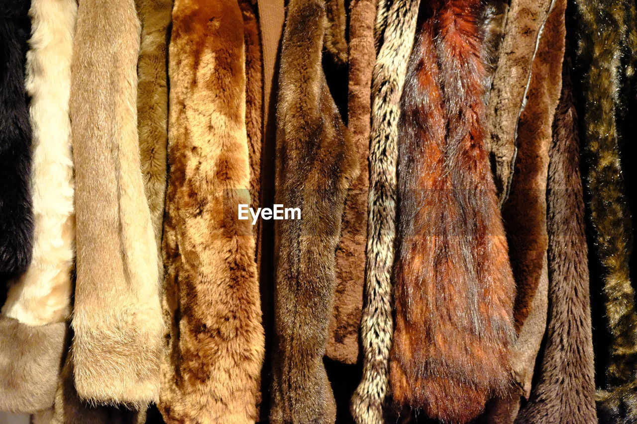 Close-up of animal skin for sale at store