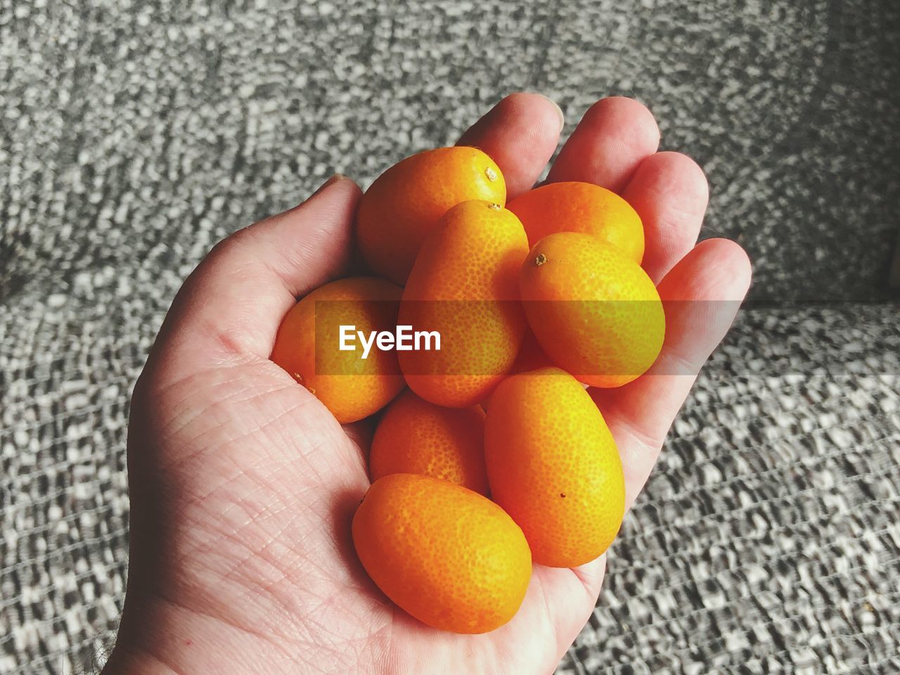 Handful of kumquats