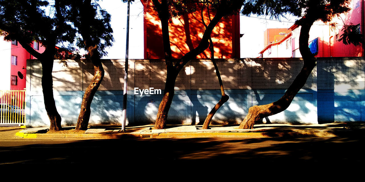 Wide shot picture of december shadows over trees and buildings