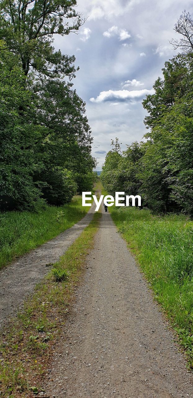 REAR VIEW OF MAN WALKING ON ROAD AMIDST PLANTS