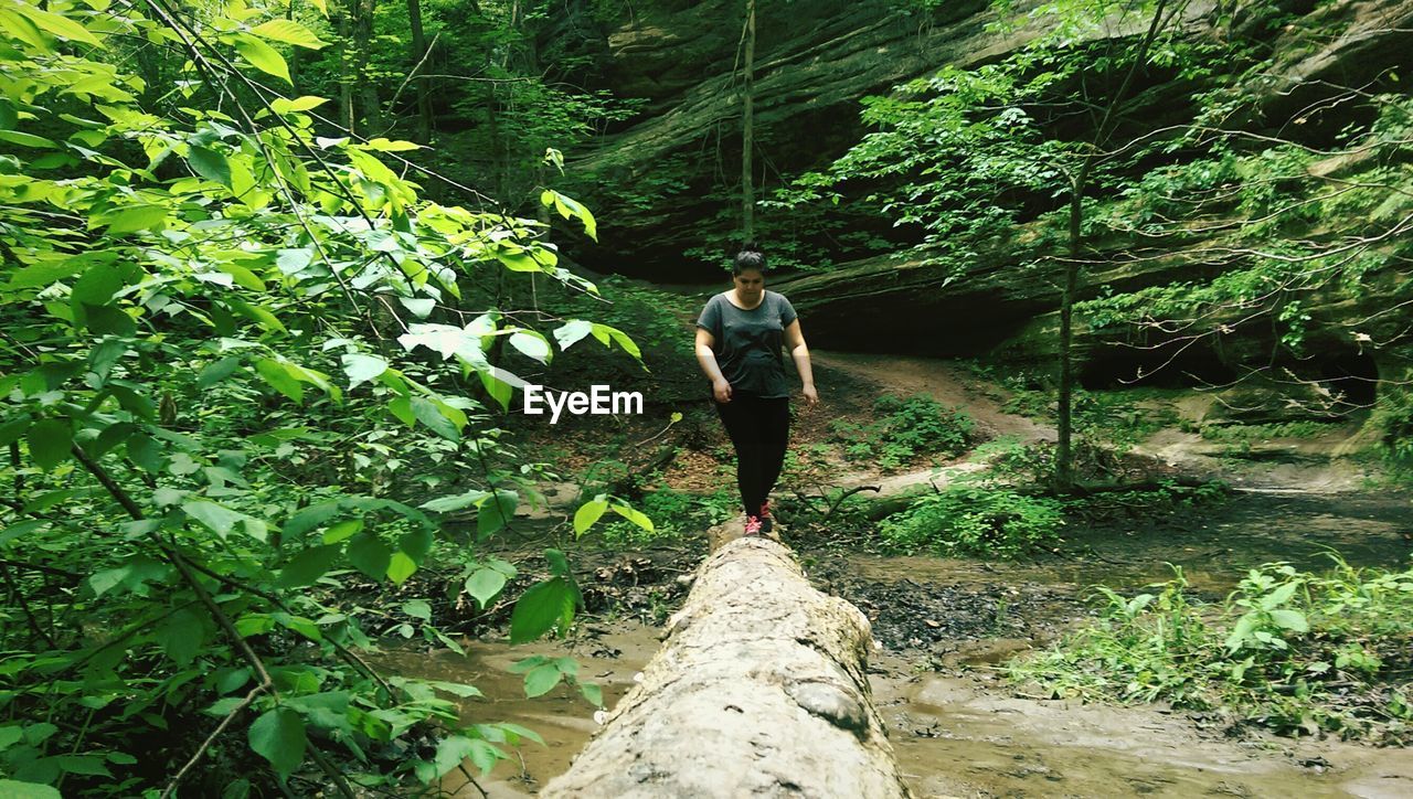 Woman walking on log bridge amidst trees in forest