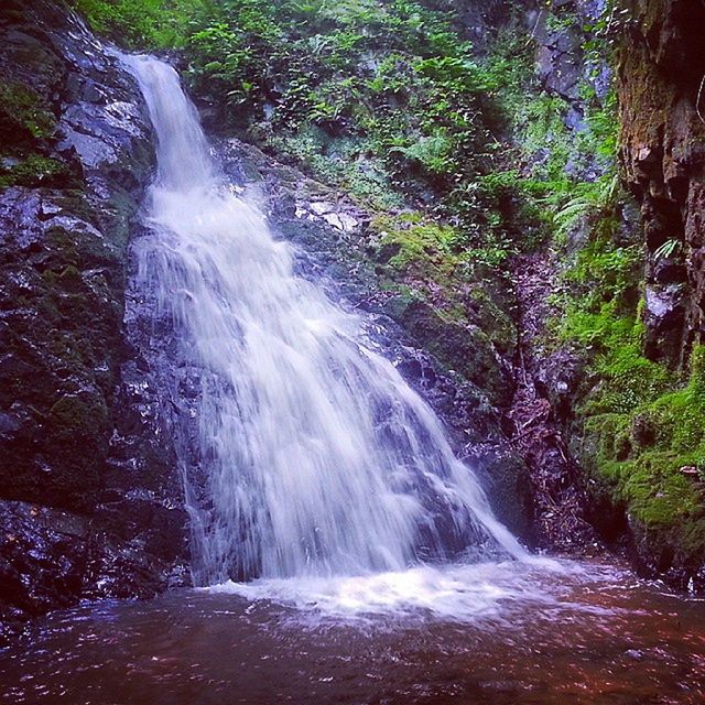 WATERFALL IN FOREST