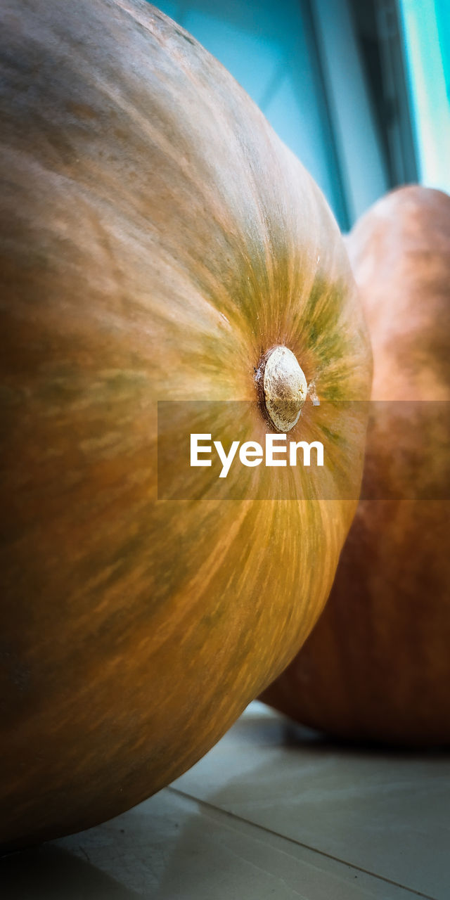 CLOSE-UP OF PUMPKINS ON TABLE