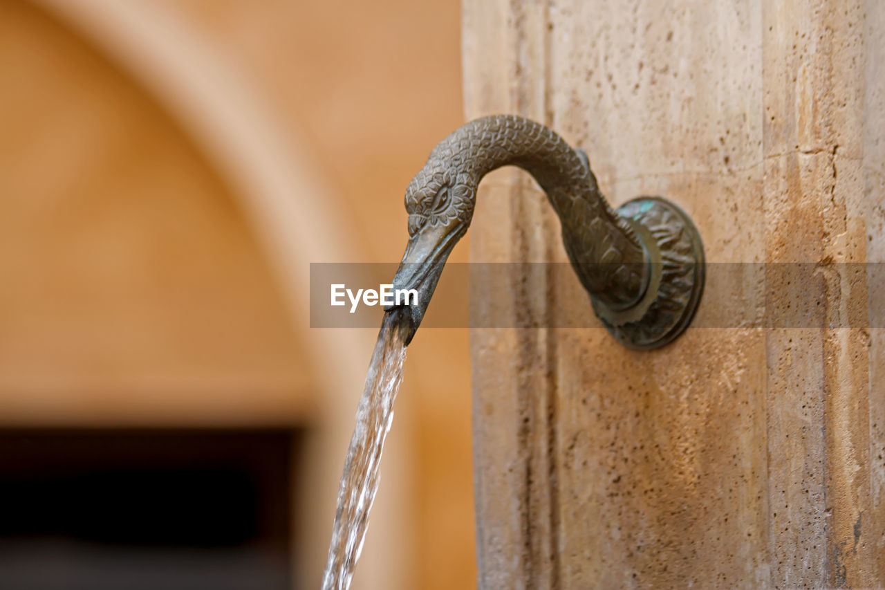 close-up, metal, no people, focus on foreground, architecture, door, wood, day, entrance, door handle, knob, water, iron, built structure, macro photography, outdoors, animal, nature