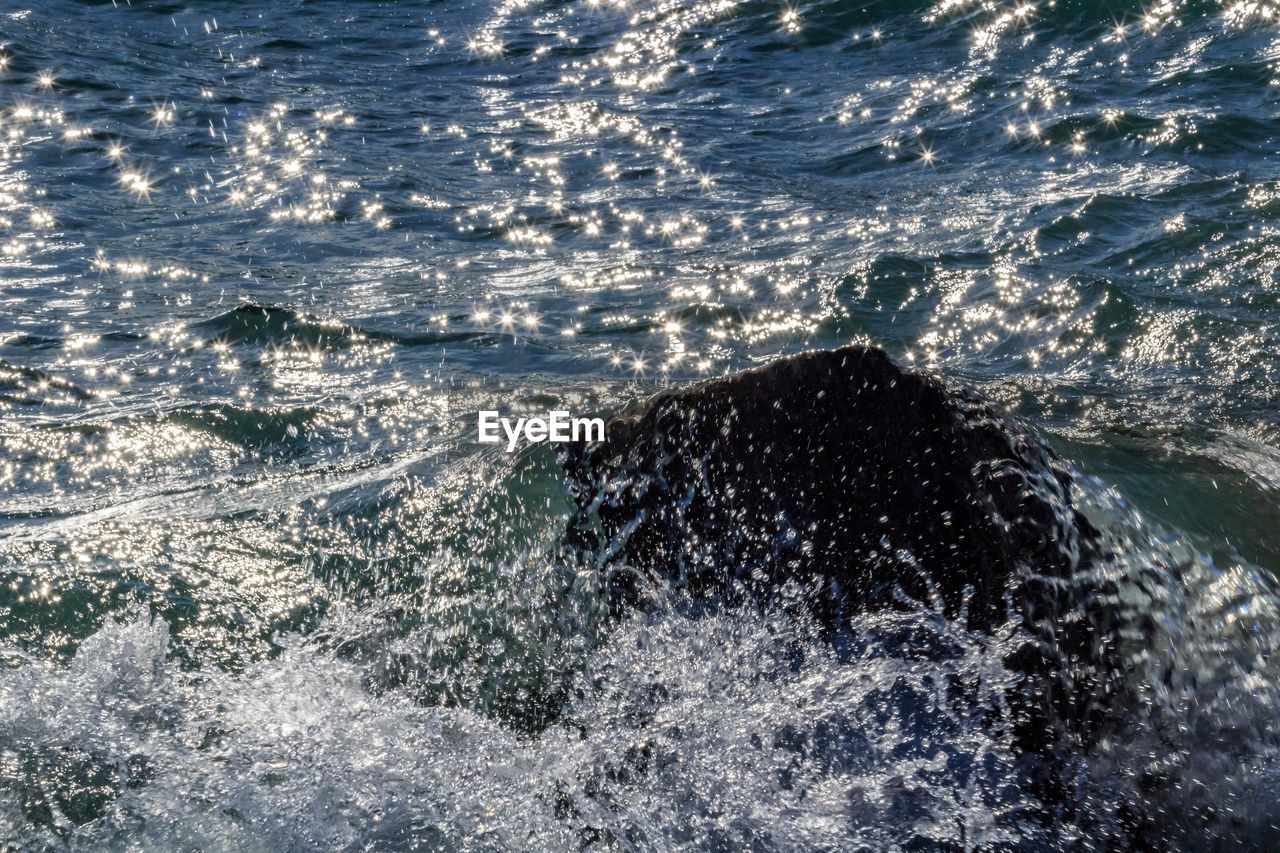 FULL FRAME SHOT OF SEA WITH SWIMMING UNDERWATER