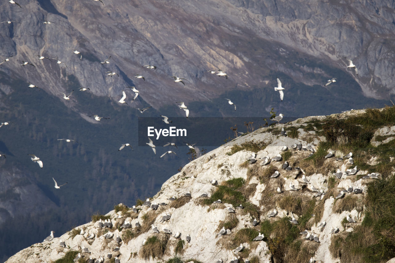 Aerial view of mountain landscape