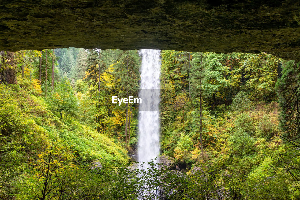 WATERFALL IN FOREST