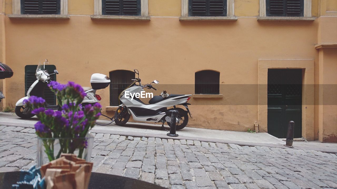 MAN WITH BICYCLE ON STREET