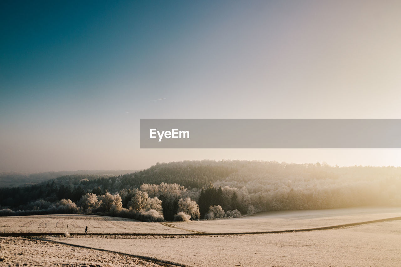 Scenic view of landscape against clear sky