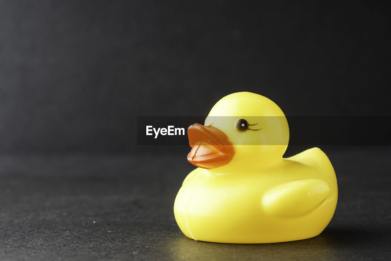 CLOSE-UP OF YELLOW TOY ON TABLE