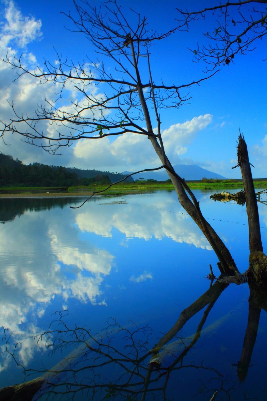 REFLECTION OF TREE ON LAKE AGAINST SKY