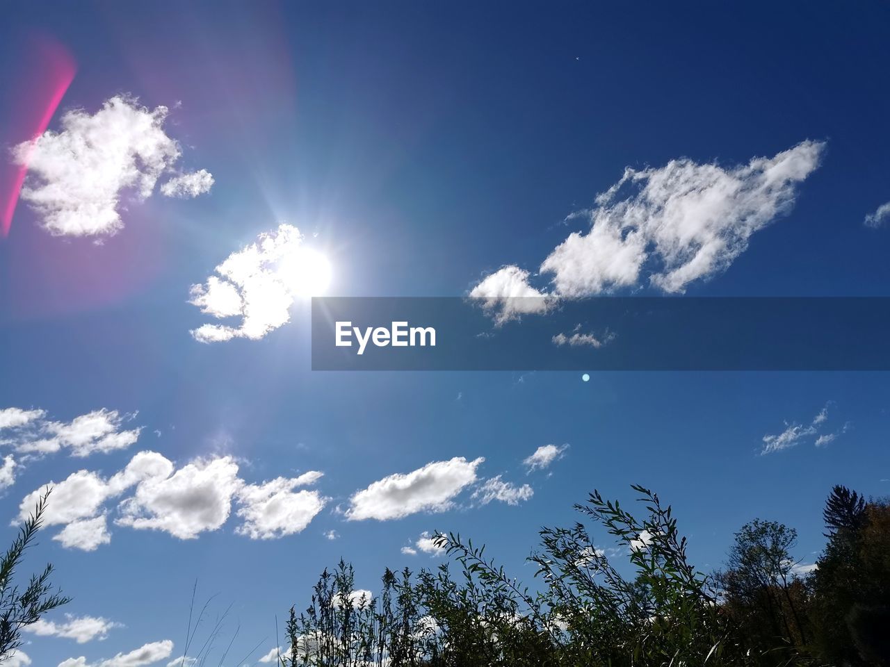 LOW ANGLE VIEW OF SUNLIGHT STREAMING THROUGH TREE AGAINST SKY