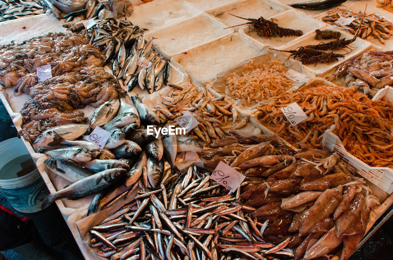 High angle view of fishes for sale at market stall