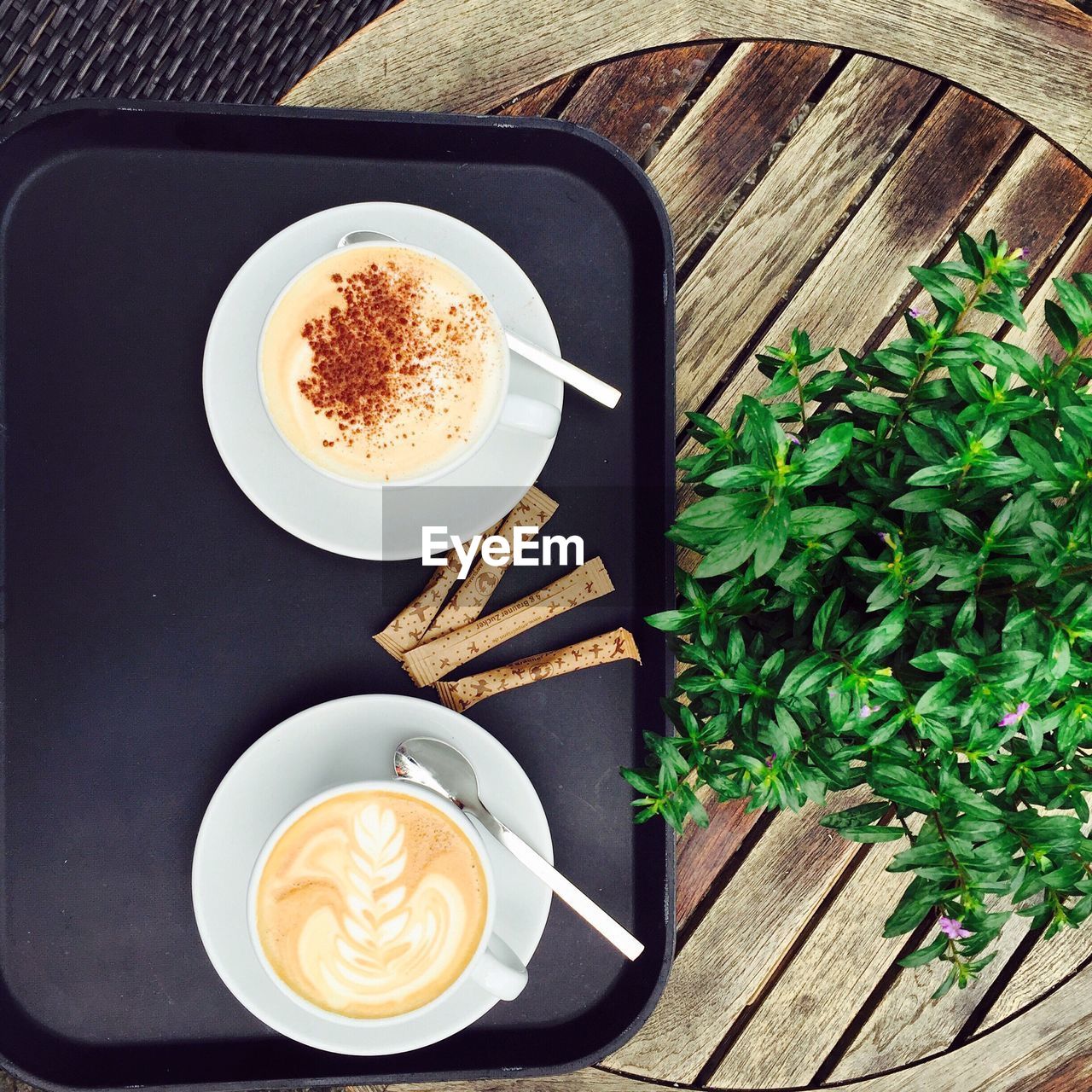 High angle view of coffee cups in plate on tray by plants