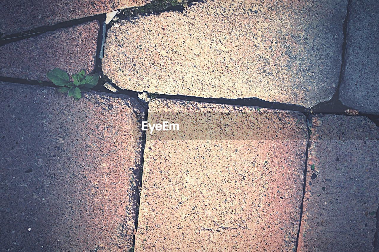 Full frame shot of paving stones