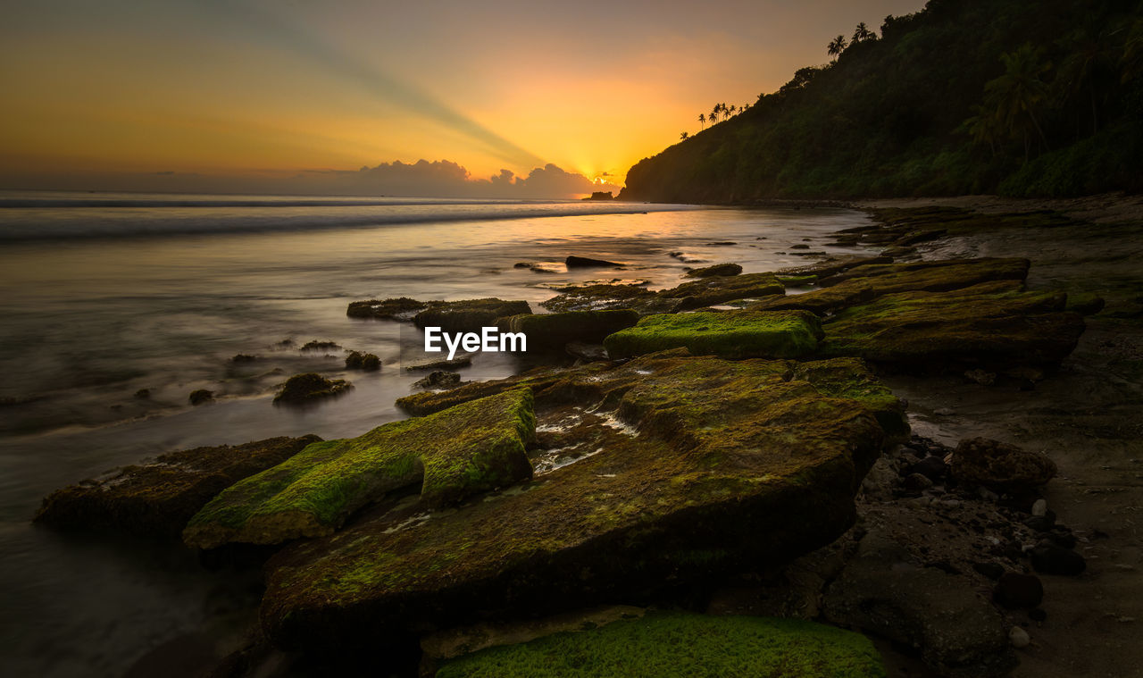 Scenic view of sea at sunset