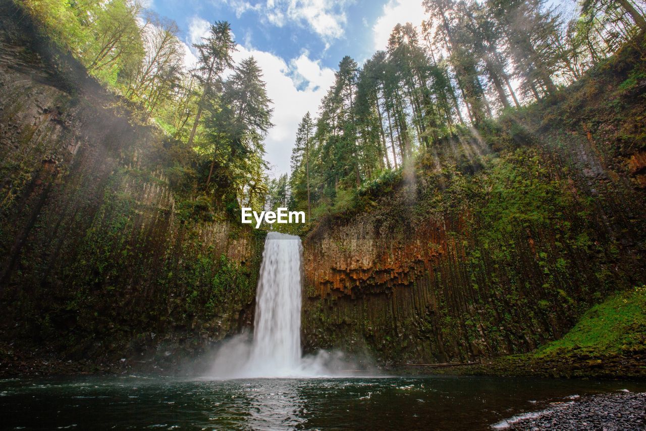 SCENIC VIEW OF WATERFALL