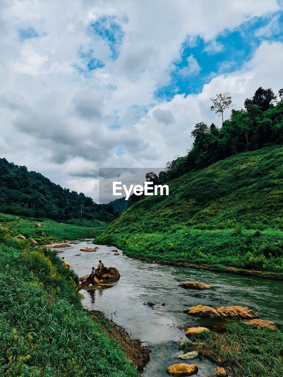 SCENIC VIEW OF RIVER FLOWING AMIDST TREES AGAINST SKY