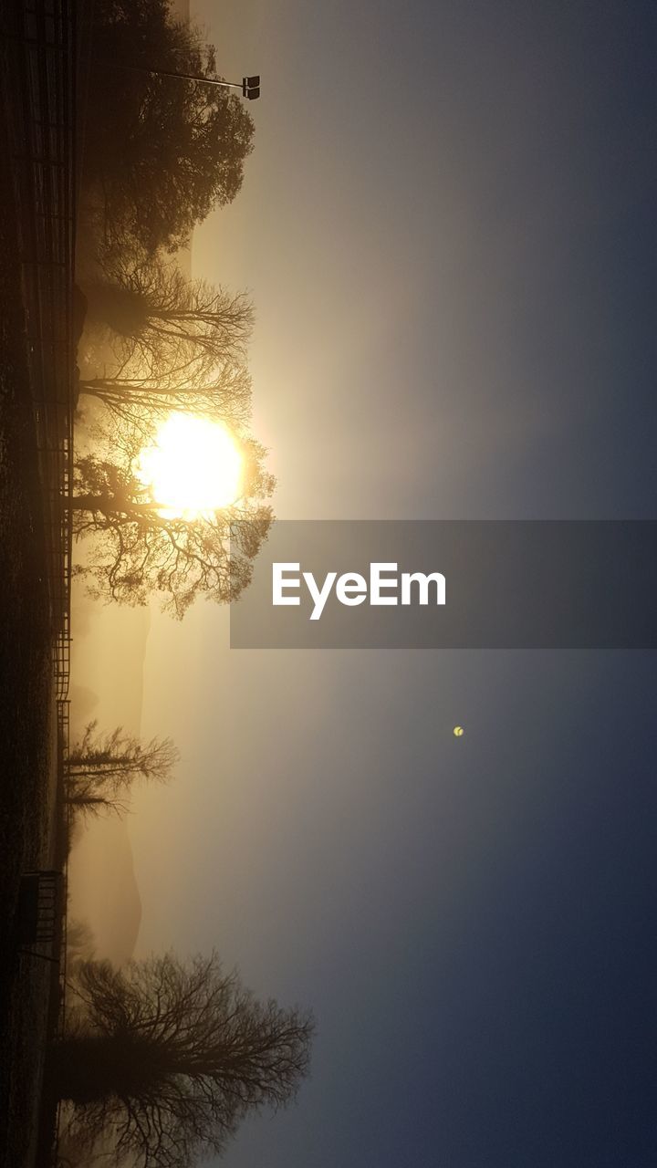 SILHOUETTE TREE AGAINST SKY DURING WINTER