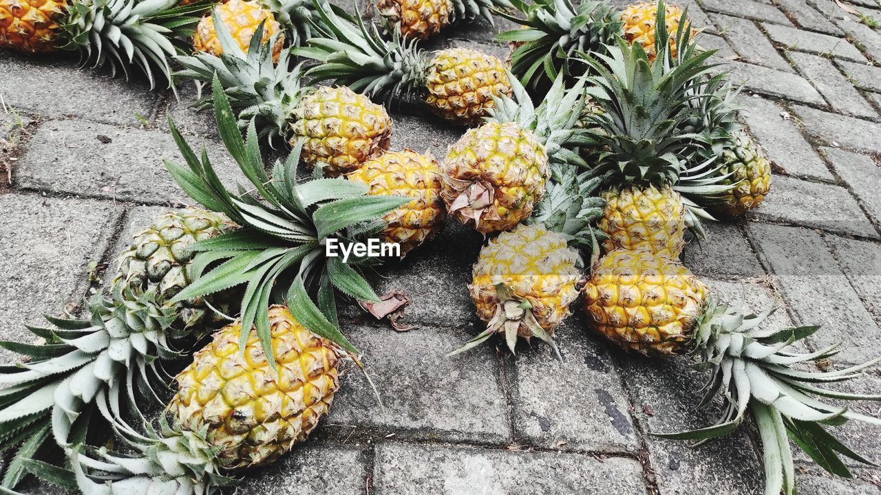 pineapple, ananas, food, bromeliaceae, food and drink, fruit, plant, healthy eating, produce, freshness, high angle view, no people, wellbeing, day, tropical fruit, nature, outdoors, tree