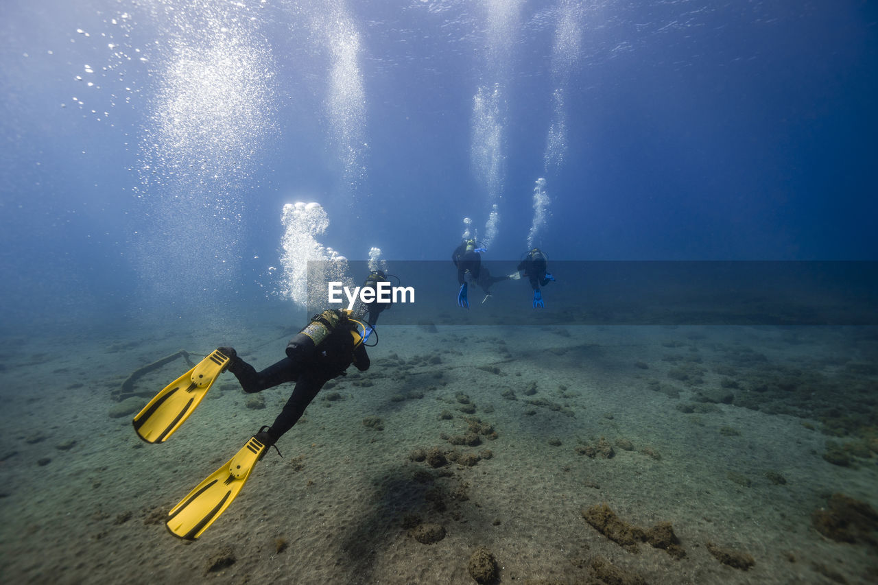 Scuba divers over ocean floor undersea