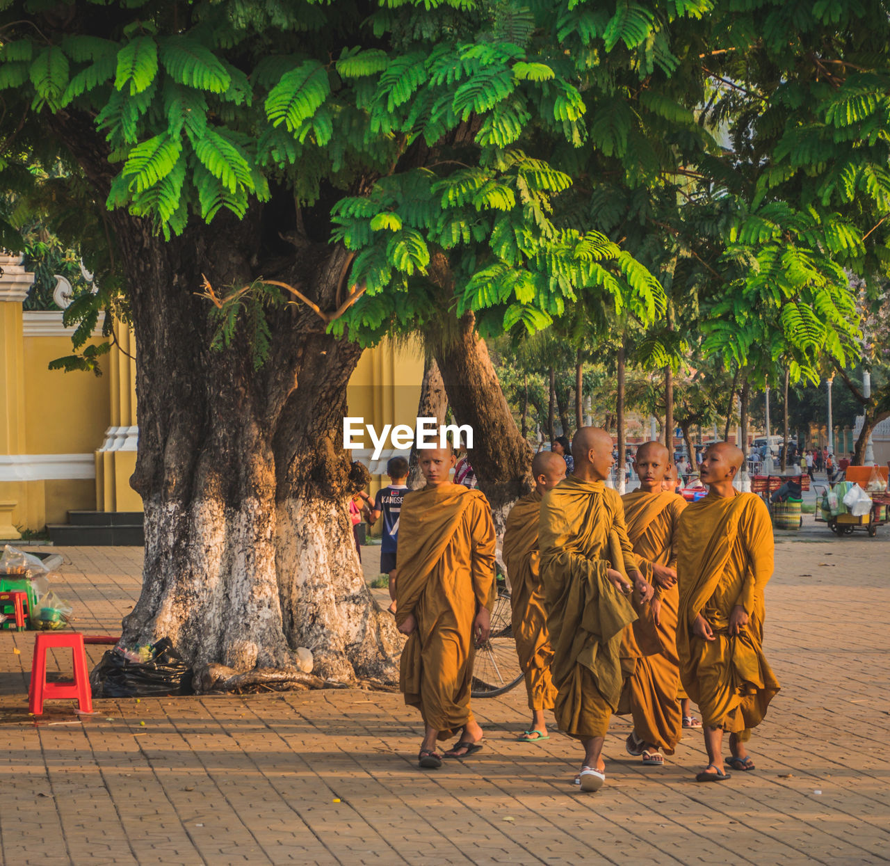 REAR VIEW OF PEOPLE STANDING AGAINST TREE